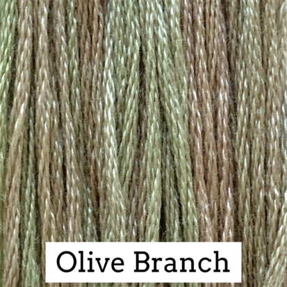 Olive Branch