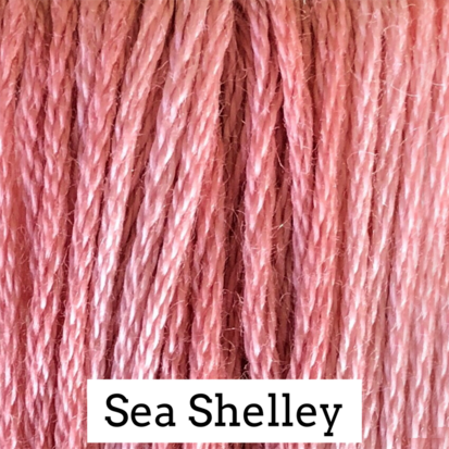 Sea Shelley