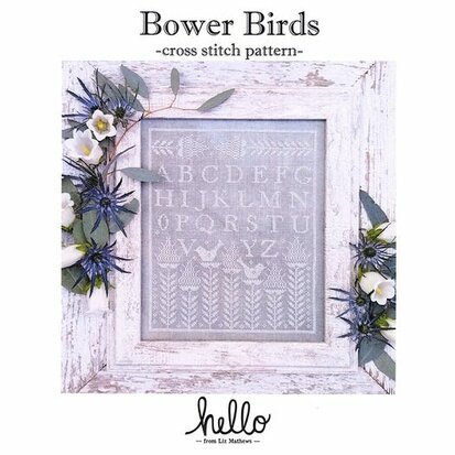 bower birds