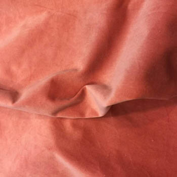 Shallot velveteen