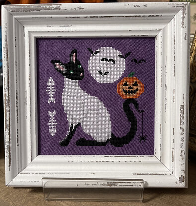 Cat Magic