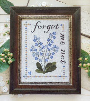 Forget Me Not