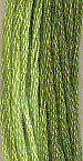 Spring Grass GA 0180