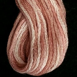 Nantucket Rose JP5