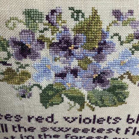 Spring Violets2