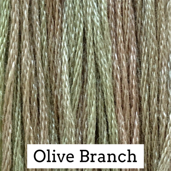 Olive Branch