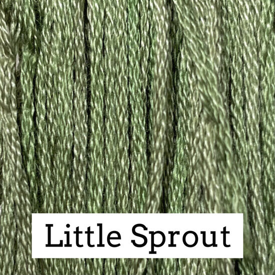 little sprout