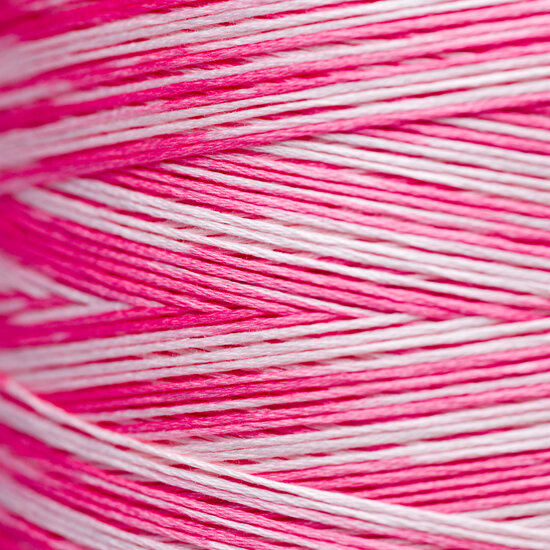 Cherry Vanilla WDW 2248