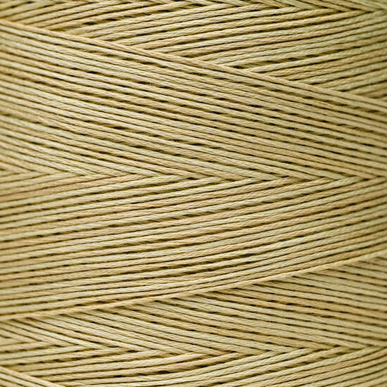 Cornsilk WDW 1123