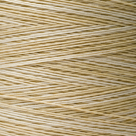Light Khaki WDW 1101