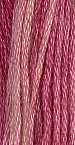Poinsettia GA 0370