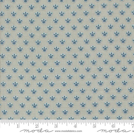 Sacre Bleu Ciel Blue Campanule 13977-14
