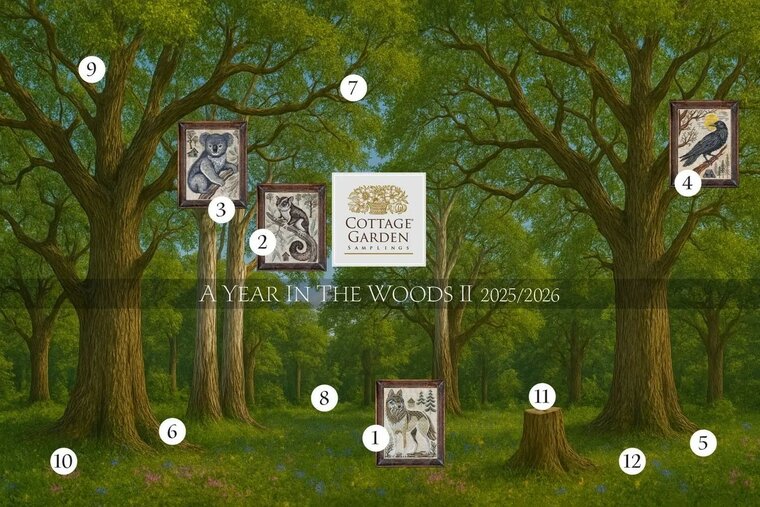 A year in the Woods II serie - 4 - Crow -  Cottage Garden Samplings