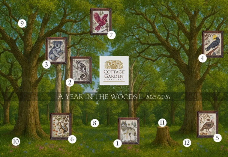 A year in the Woods II serie - 7 - Northern Cardinal -  Cottage Garden Samplings