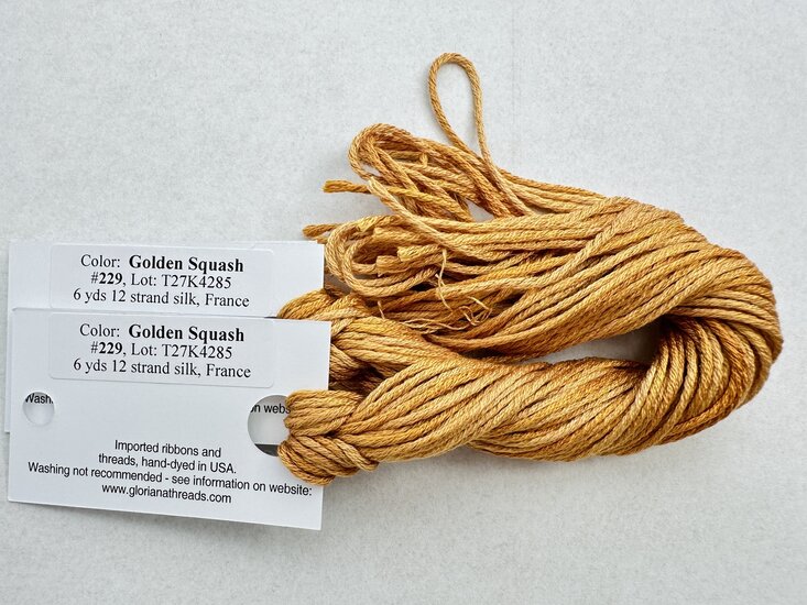 Golden Squash-  Gloriana 229
