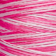 Cherry Vanilla WDW 2248