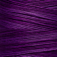 Purple Majesty WDW 2329