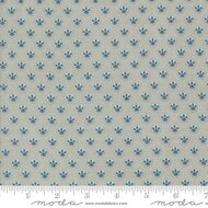 Sacre Bleu Ciel Blue Campanule 13977-14