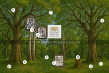 A year in the Woods II serie - 3 - Koala -  Cottage Garden Samplings