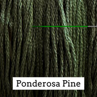 Ponderosa Pine- CCW