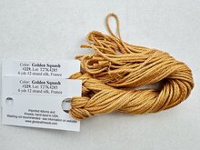 Golden Squash-  Gloriana 229