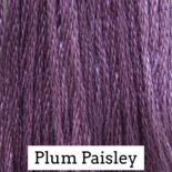 Plum Paisley CCW