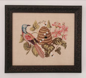 The visitor - Blackberry Rabbit