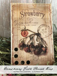 THREAD KEEPS:Strawberry Field-The Primitive Hare