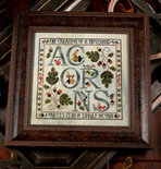 Acorns - The Blue Flower