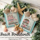 The Beach Boardwalk- Surf Shop