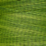 Apple Pucker WDW 2202A