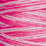 Cherry Vanilla WDW 2248