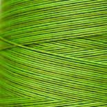 Paris Green WDW 2204a