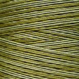 Scuppernong WDW 2196