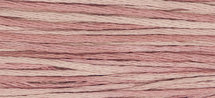 Charlotte's Pink WDW 2282