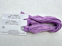 Wisteria-  Gloriana 324