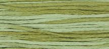 Dried Sage WDW 1191