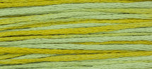 Pistachio WDW 2206