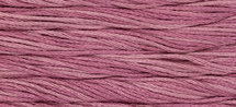 Busy Lizzie WDW 2272