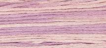 Sweetheart Rose WDW 2279