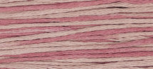 Madison Rose WDW 2284