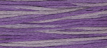 Iris WDW 2316
