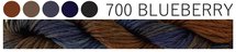 Blueberry CGT 700