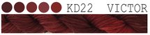 Victor CGT KD22