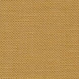 Mustard 32 ct. Belfast 3123