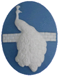 Needleminder Peacock