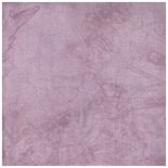 14 ct PTP Aida Memory