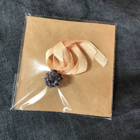 Raspberry Waxer Black - Stacy Nash