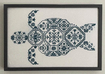 Quaker Turtle- AuryTM