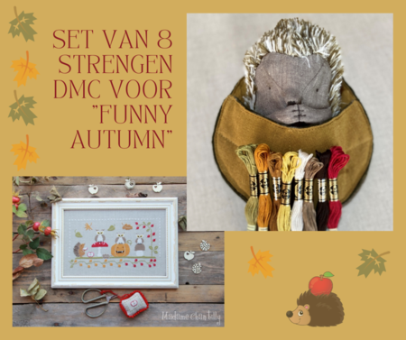 Set DMC voor Funny Autumn - Mme Chantilly